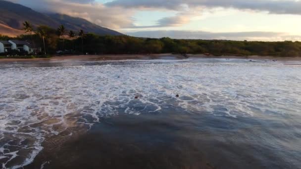Surfers Duck Diving Waves Beach Resort Background — ストック動画