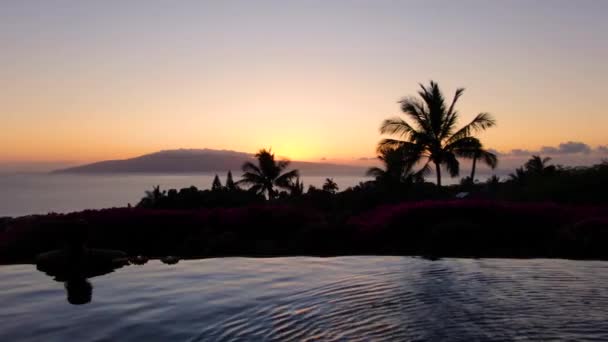 Drone Pan Infinity Pool Beautiful Hawaiian Female Watches Sun Set — Video Stock