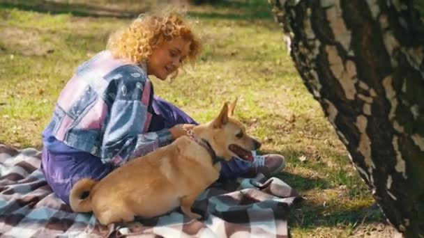 Peringatan Lucu Terkonsentrasi Anjing Ras Campuran Dengan Lidahnya Duduk Rumput — Stok Video