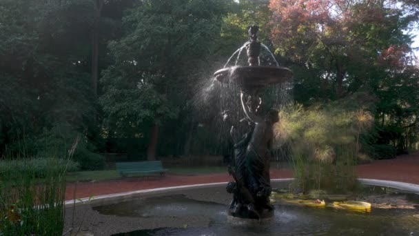 Decorative Water Fountain Buenos Aires Botanical Garden Argentina Sunny Morning — Video