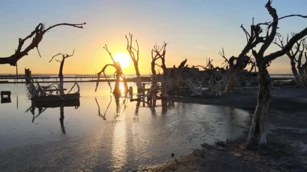 Historic Disastrous Flood Ruined Villa Epecuen Argentina Aerial — Vídeo de stock