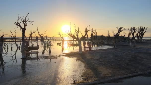 Eerie Remains Dead Trees Historic Flooded Town Epecuen Drone Left — Vídeo de Stock