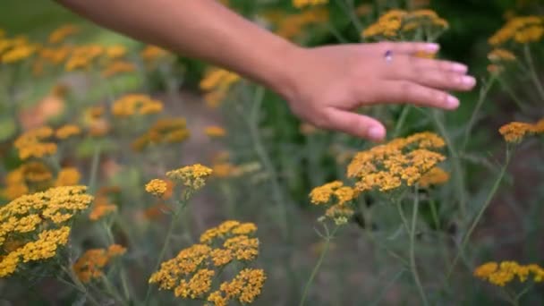 Pretty Girl Moving Her Hand Flowers Plants Bright Summer Day — Vídeo de Stock