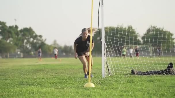 Female Soccer Coach Showing Drill Player — Vídeo de stock