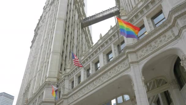 Lgbtq Rainbow American National Flag Waving Downtown Chicago Usa Low — 비디오