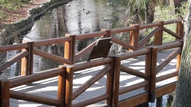 Wooden Bridge Retiro Park Madrid Water Stream Outlined Rocks Runs — Video