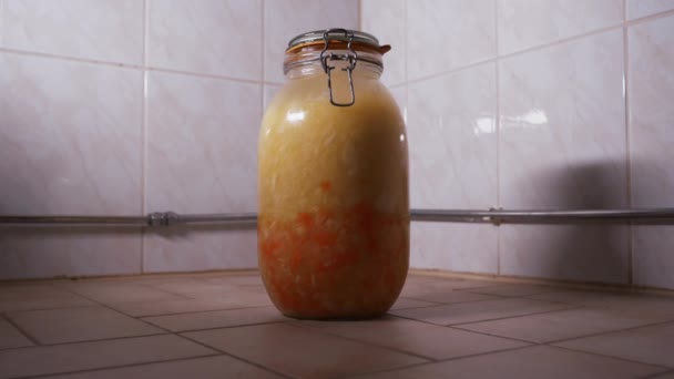 Two Weeks Vegetable Fermentation Mason Jar Fast Forward Timelapse — Video