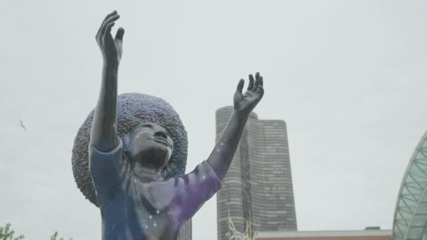 Reach Art Installation Modern Sculpture Navy Pier Chicago Usa Close — стоковое видео