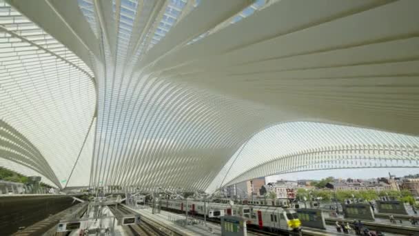 Abstract View Roof Liege Guillemins Railway Station Belgium Designed Santiago — Stockvideo