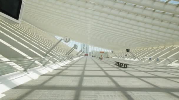 Abstract View Interior Modern Architecture Railway Station Lige Guillemins Steel — Stockvideo