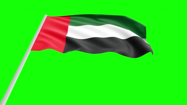 National Flag Uae Bottom View Waving Wind Green Screen Alpha — 비디오