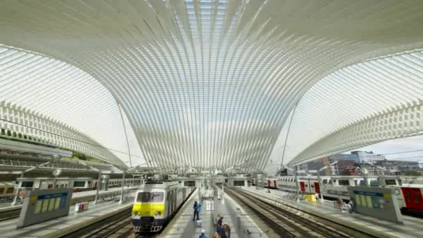 High Speed Train Passengers Waiting Platform Lige Guillemins Railway Station — Vídeos de Stock