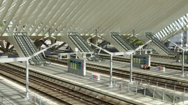 Railway Station Lige Guillemins Belgium People Escalators Train Arrival Departure — Wideo stockowe