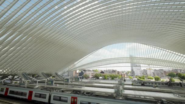 Steel Curved Beams New Modern Building Lige Guillemins Railway Station — Vídeo de Stock