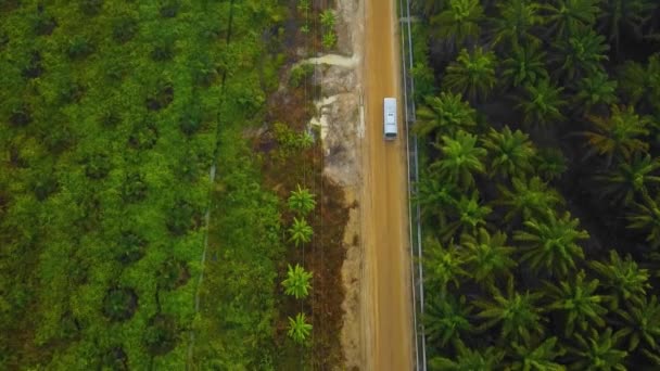 Cinematic Drone Footage White Bus Vehicle Sequences Middle Jungle Surrounded — Stockvideo