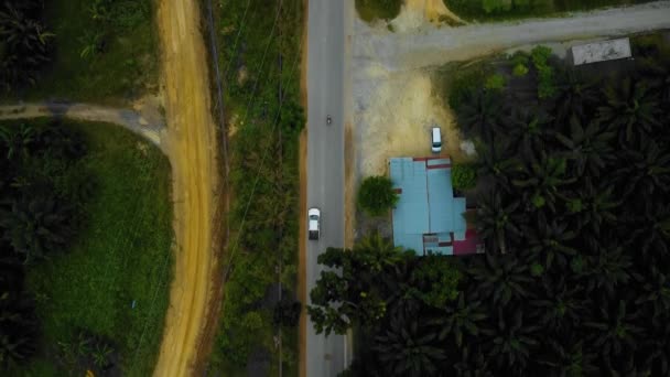Cinematic Drone Footage White Mazda Light Vehicle Sequences Middle Jungle — Stockvideo