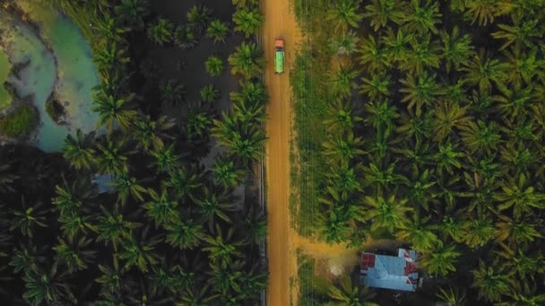 Cinematic Drone Footage Vacuum Truck Sequences Middle Jungle Surrounded Palm — стоковое видео