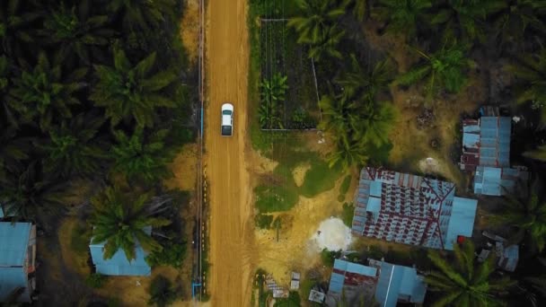 Cinematic Drone Footage White Mazda Light Vehicle Sequences Middle Jungle — Vídeo de Stock