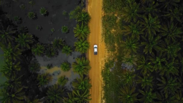 Cinematic Drone Footage White Mazda Light Vehicle Sequences Middle Jungle — Vídeo de Stock