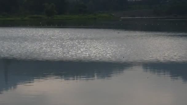 Meer Von Kandi Artificial Lake Sawahlunto Δυτική Σουμάτρα Στις Μαΐου — Αρχείο Βίντεο