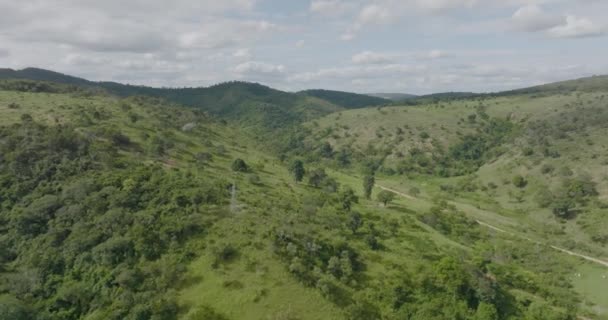 Aerial Flying Green Valley Simple Road Traffic — 图库视频影像