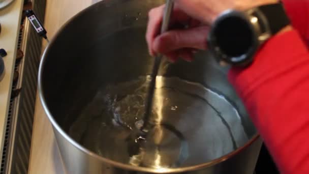 男性の手は熱い水で満たされたスチールボイラーに大麦の麦芽を攪拌 — ストック動画