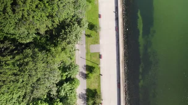 Descending Aerial Top Shot Forest Park Coastal Path Baltic Sea — Wideo stockowe