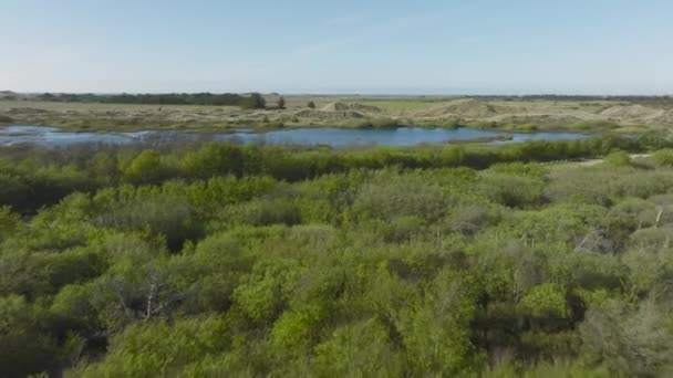 Aerial View Swamp Trees Bushes Sand Dune — Video