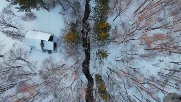Top View Beautiful Winter Landscape Snow Covered Forest Small Lonely — Stok video