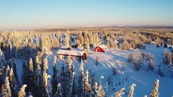 Aerial View Sunrise Shining Snow Covered Red Winter Cabins Surrounded — Video