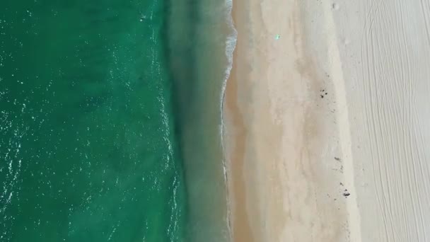 Воздушные Накладные Съемки Вдоль Песчаного Пляжа Кристально Чистого Тихого Океана — стоковое видео