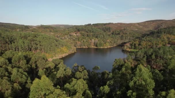 Vista Aérea Floresta Lago Natureza Paisagem — Vídeo de Stock