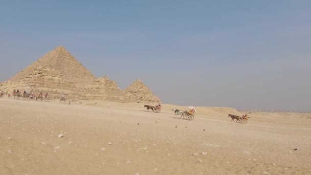 Конный Экипаж Перевозит Туристов Посетить Пирамиду Менкауре Отслеживая Движение Египет — стоковое видео