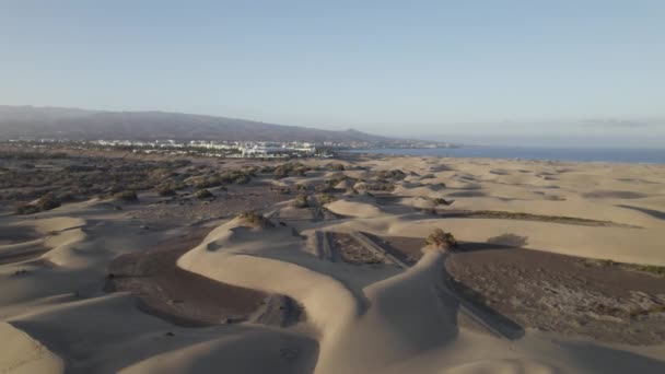 Maspalomas Sand Dunes Landscape Aerial View Scenic Deserted Location Spain — 图库视频影像