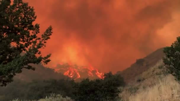 Firestorm Raging Highlands Western Usa Handheld Pan View — Vídeo de stock