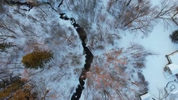 Top View Winter Landscape River Forest Snow Countryside — Stockvideo