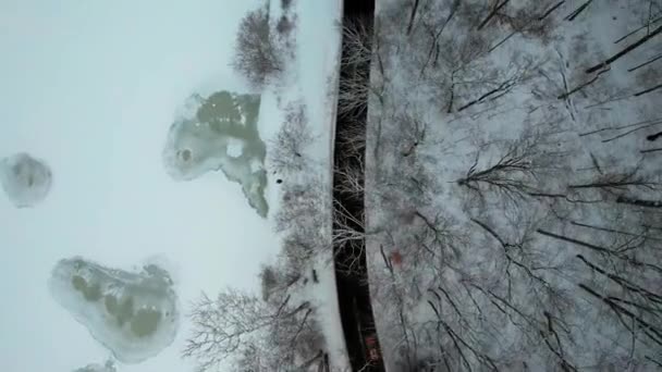 Drone Single Red Car Driving Winter Road Frosty Forest Next — Stok video