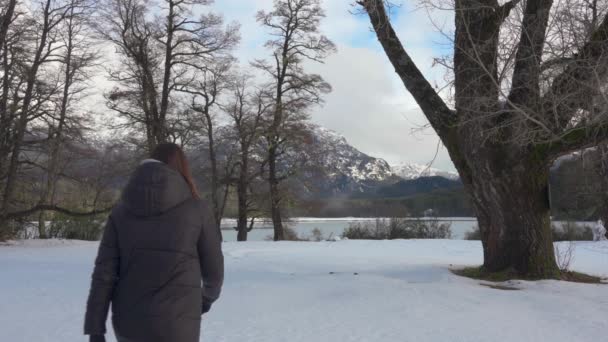 Woman Walking Her Dog Snow Frozen Lake Background Trees Mountain — Vídeo de stock