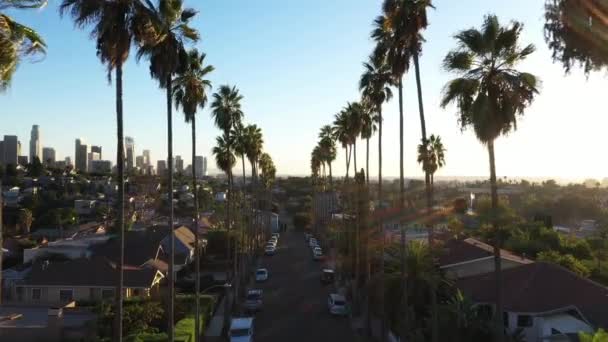 Beautiful Sunset Drone Shot Going Palm Tree Lined Street Los — Vídeo de Stock