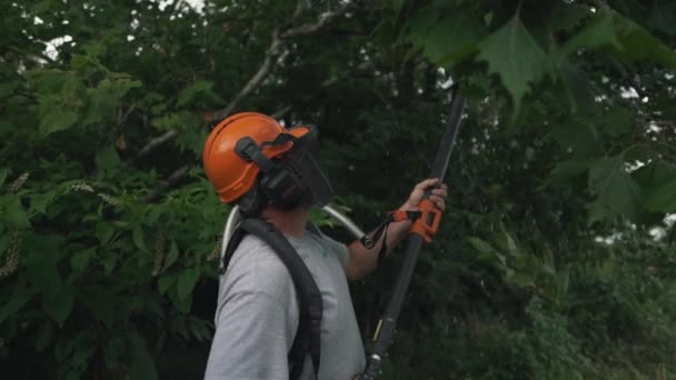 Trimming Trees Chainsaw Guy Trims Trees Saw Other Safety Equipment — Vídeo de stock