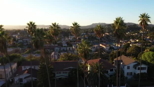 Beautiful Drone Shot Echo Park Neighborhood Los Angeles Golden Hour — 비디오