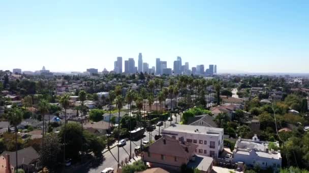 Beautiful Drone Shot Neighborhood Los Angeles California Showing Palm Trees — Stock video