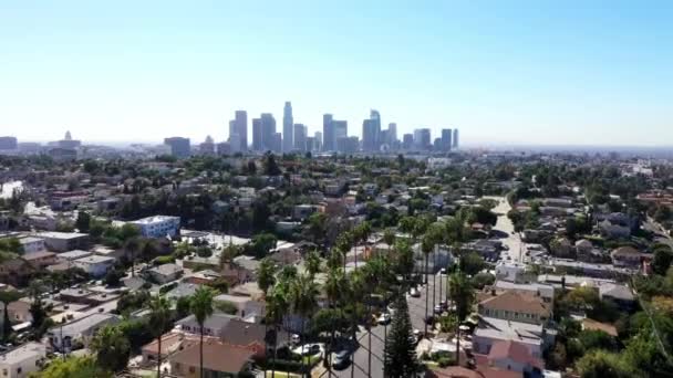 Beautiful Drone Shot Neighborhood Los Angeles California Showing Palm Trees — 비디오