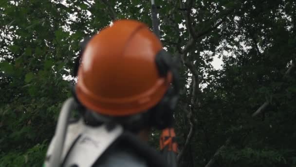 Man Chopping Trees Trimming Trees Chainsaw Guy Trims Trees Saw — Wideo stockowe