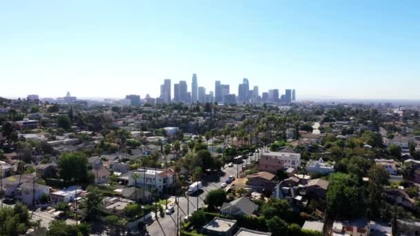 Beautiful Drone Shot Flying Palm Trees Large Homes Downtown Los — 비디오