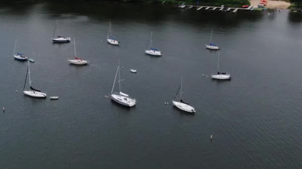 Aerial Arcing Shot White Sailboats Sitting Rows Panoramic Drone Shot — ストック動画