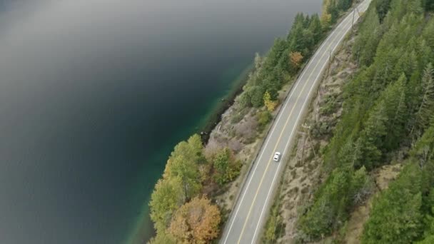 Vancouver Island Road Aerial View — Video Stock