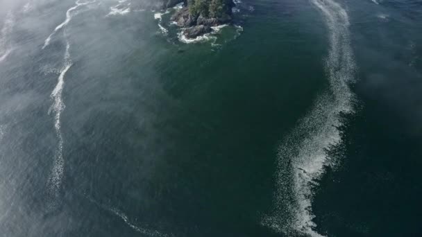 Aerial View Tofino — стоковое видео