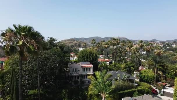 Aerial Hollywood Hills Palm Trees 002 — Stockvideo