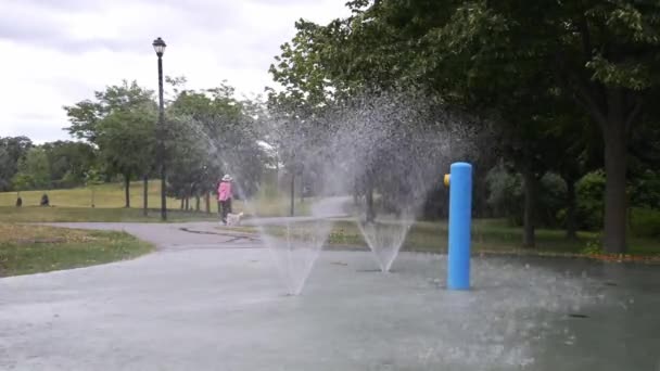 Woman Walks Her Dog Public Park Water Fountain Hot Summer — ストック動画